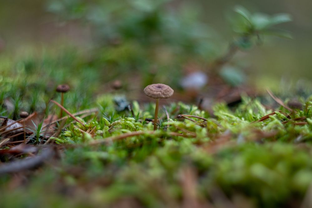 Photograph by Алина Ерехинская