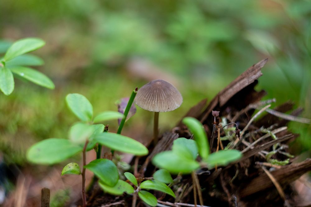 Photograph by Алина Ерехинская