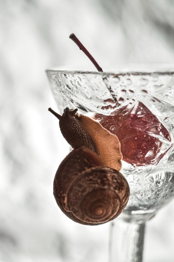 Photograph by Екатерина Климовцева