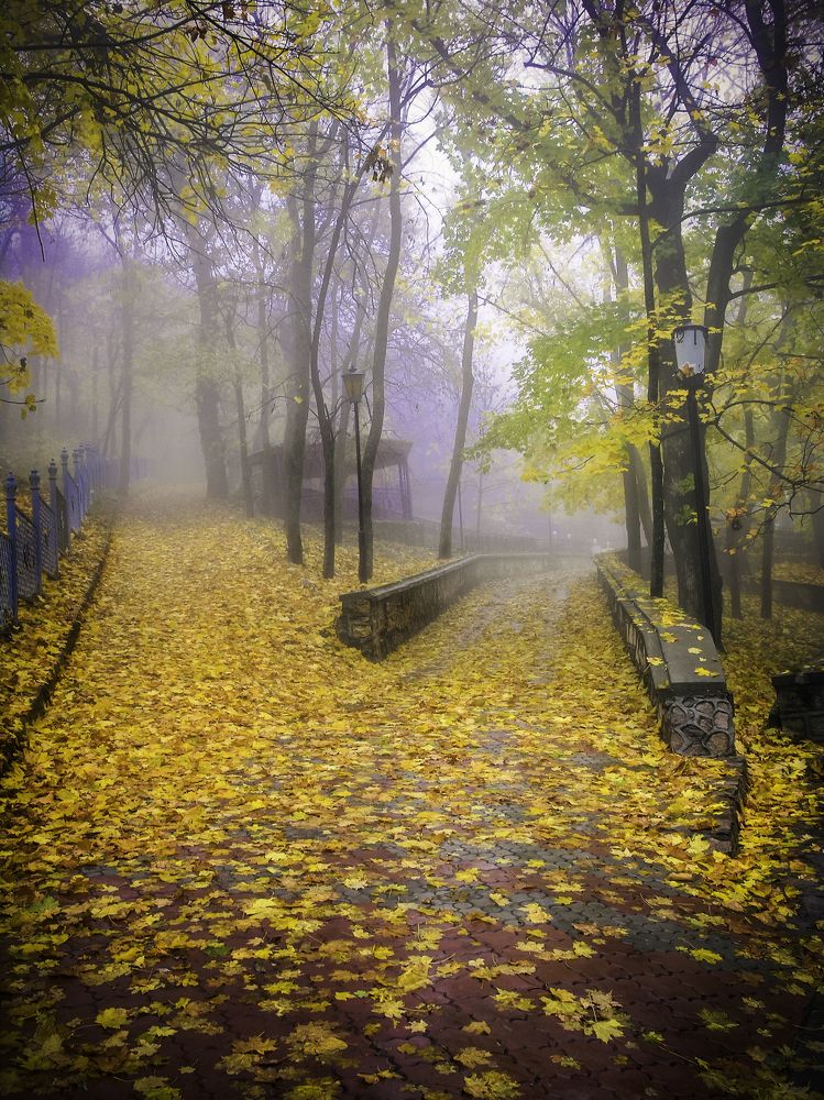 Развилка осени ...