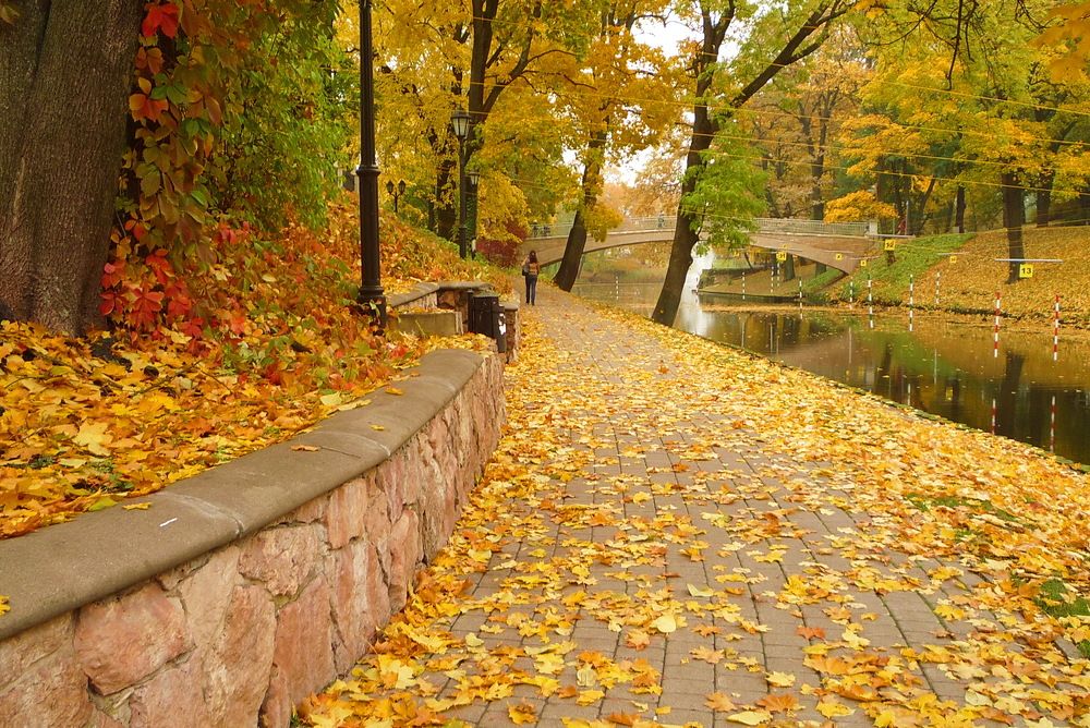 Photograph by Людмила Викулова