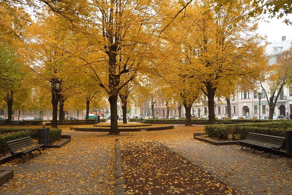 Photograph by Людмила Викулова