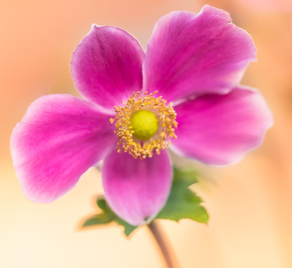 Photograph by Tatiana Daks