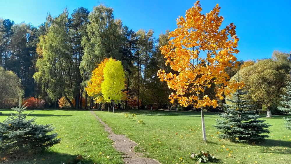 Photograph by Александр Муждабаев