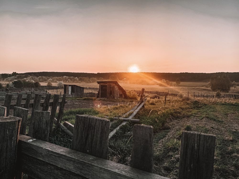 Photograph by Мария Смирнова