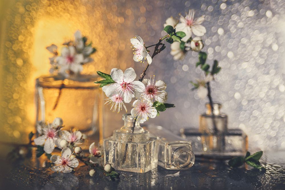 Photograph by MVO (Марк Орлов)