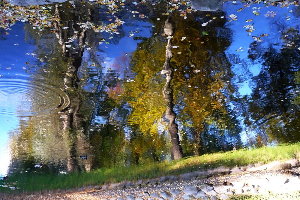 рисует осень акварель