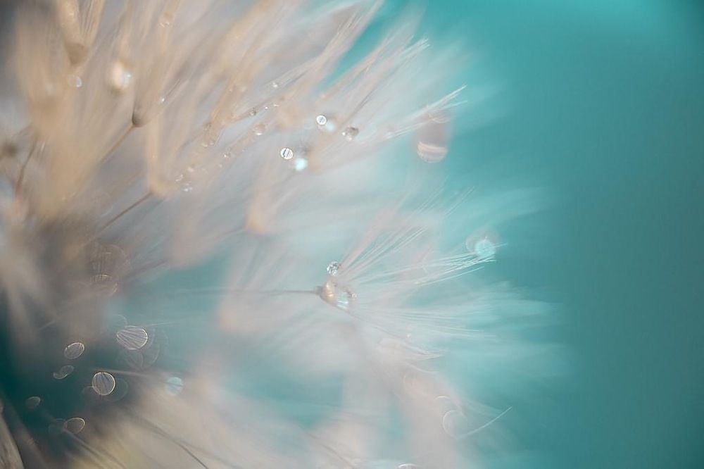 Photograph by Nadezda Zavitaeva