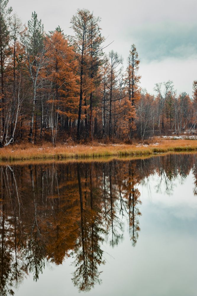 Photograph by Дмитрий Портных