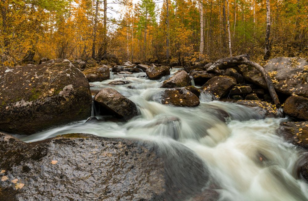 Photograph by Дмитрий Портных