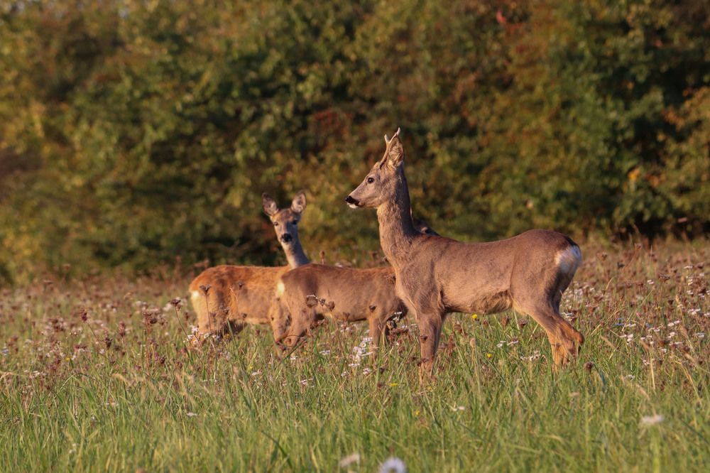 Photograph by Markéta Mastešová