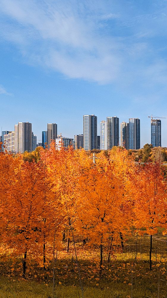 Photograph by Андрей