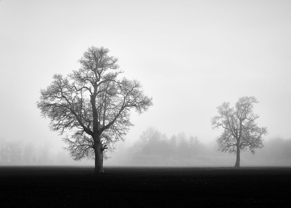 Photograph by Leonardo