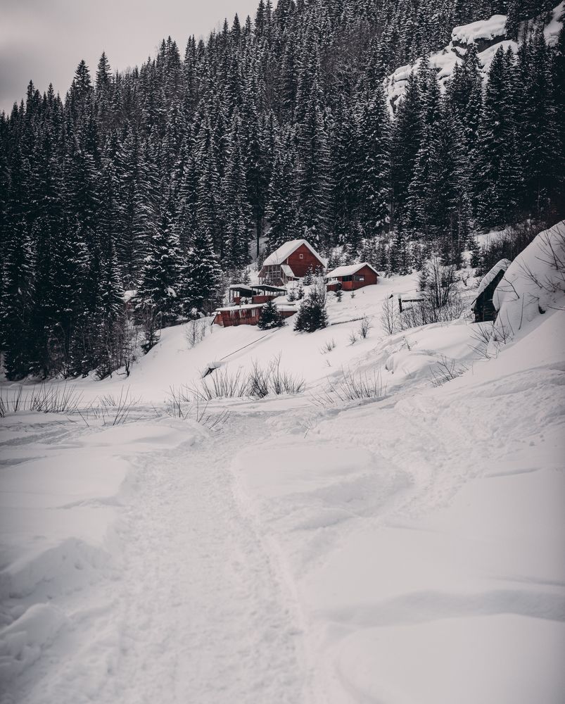 Photograph by Максим Моночков