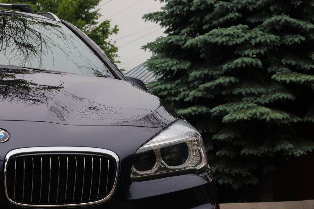 Photograph by Alexandr Tulinov