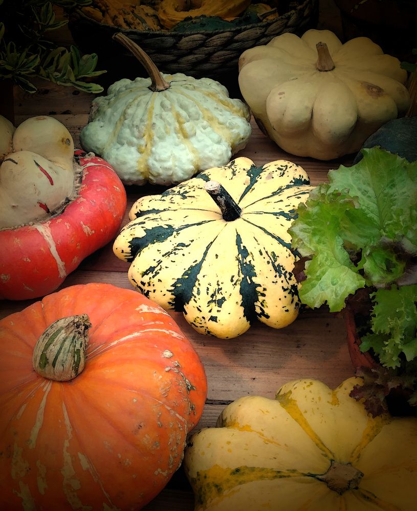 Photo #6555297