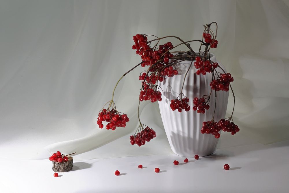 Калина вызрела...