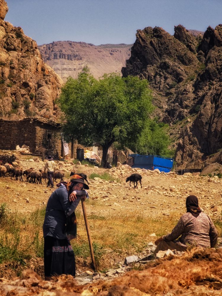 Photograph by Javad zavvar