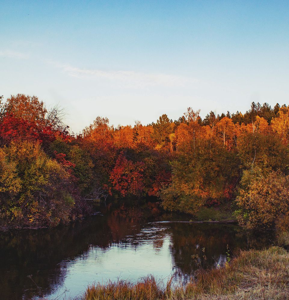 Photograph by Елена Федорова