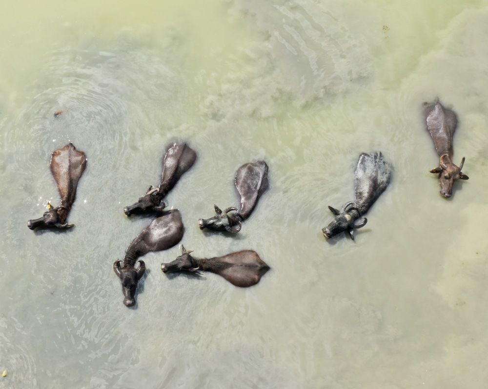 Photograph by Vano Shlamov