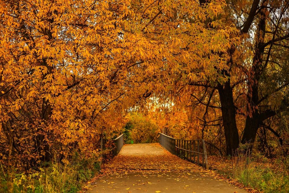 Photograph by Паша Савельев