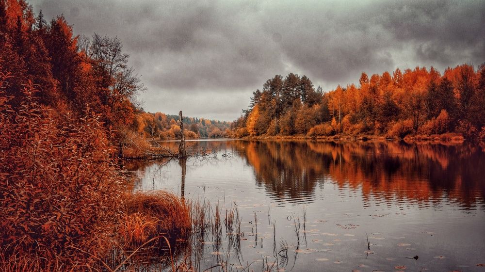 Photograph by Евгений Калагаев