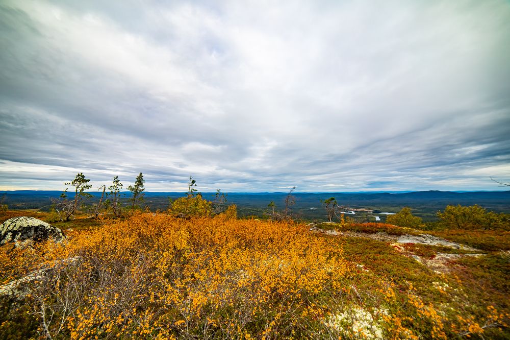 Photograph by Анна Гиндендорф