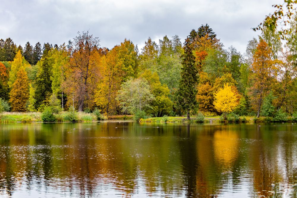 Photograph by Анна Гиндендорф