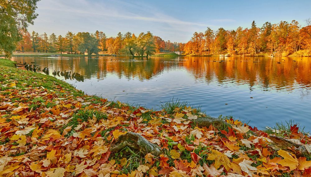 Photograph by Петрушин Сергей