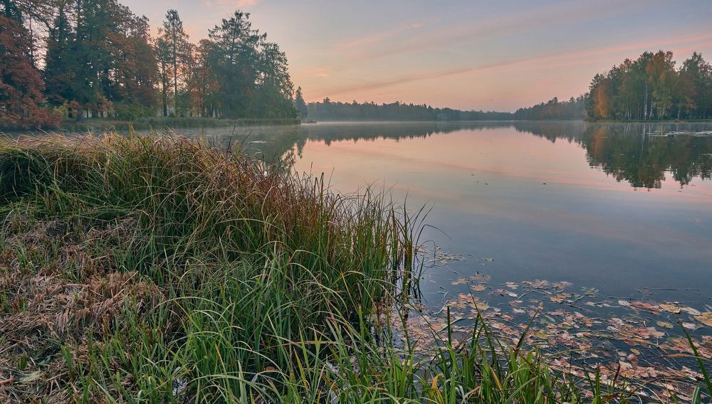 Photograph by Петрушин Сергей