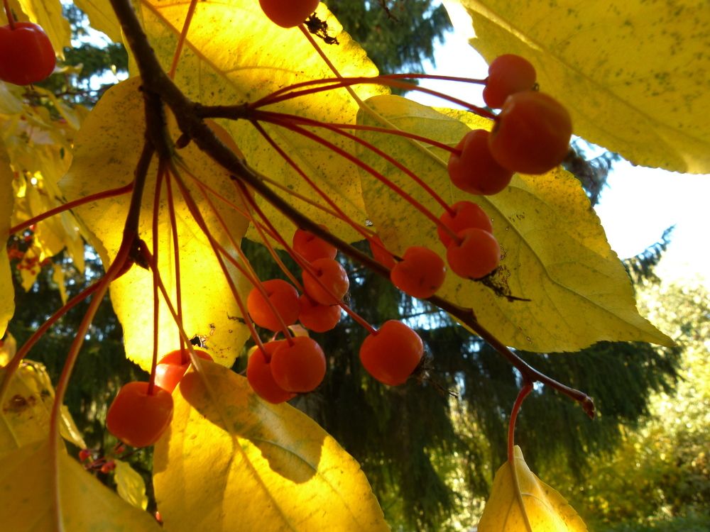 Photograph by Александр Кизим