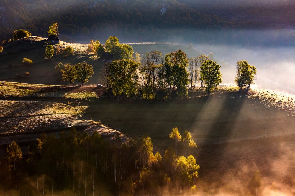 Фотография автора Raul Gruics