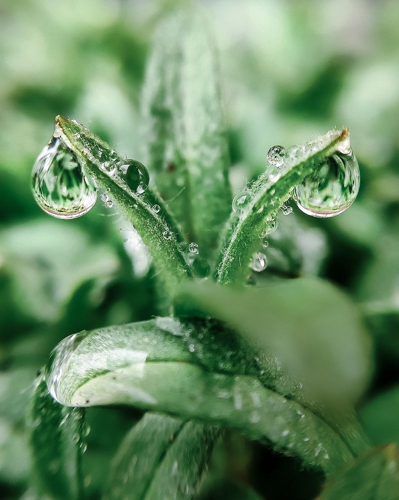 Photograph by Светлана Смирнова