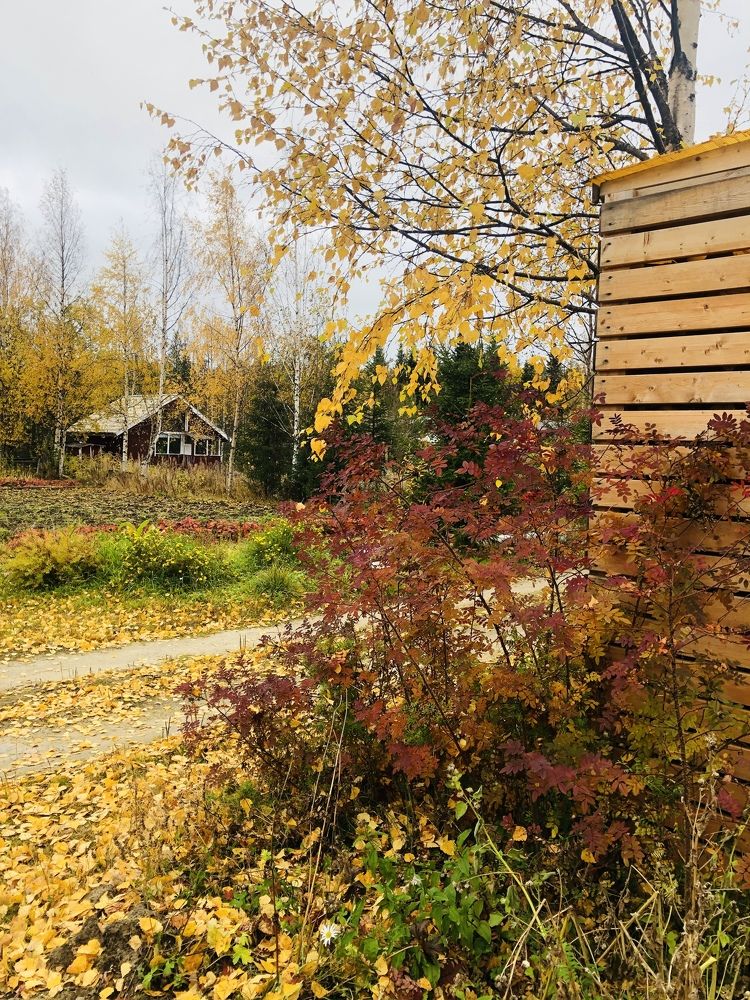 Photograph by ЮЛИЯ СУЛИМОВА