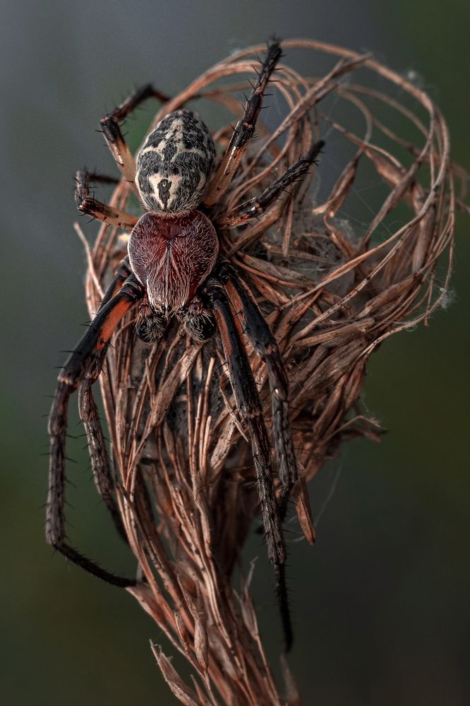 Photograph by Марина Сидоренко