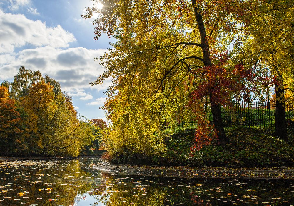 Фотография автора Grig Selemir