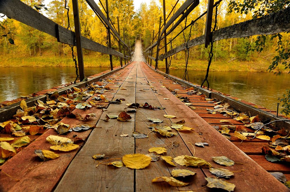 Photograph by Игорь Овсиенко