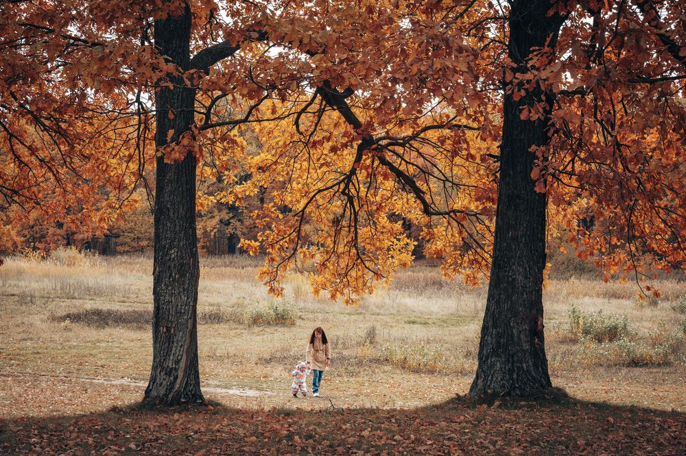 Первая осень...