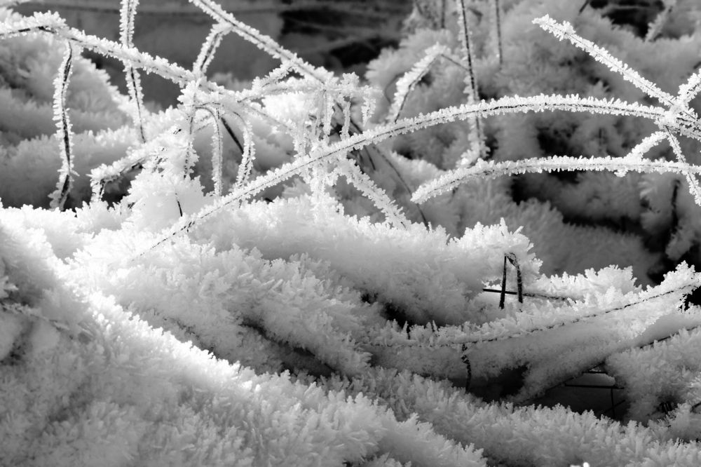 Photograph by Петрова Екатерина