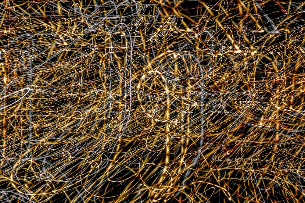 Фотография автора Abbas Ahmadi