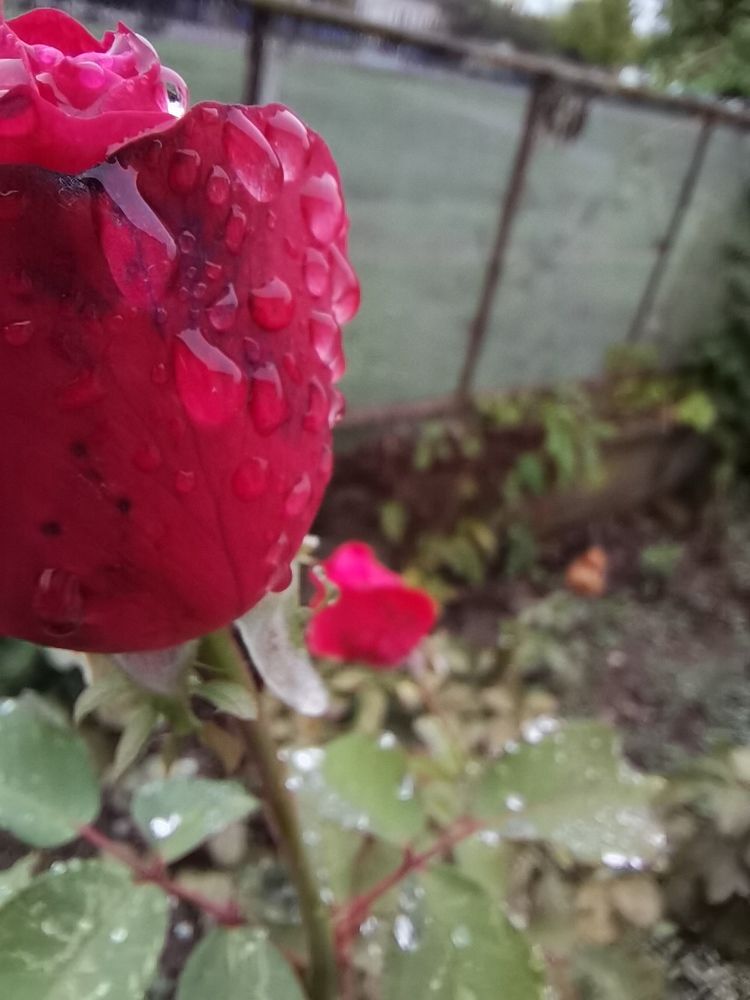 Photo #6555757