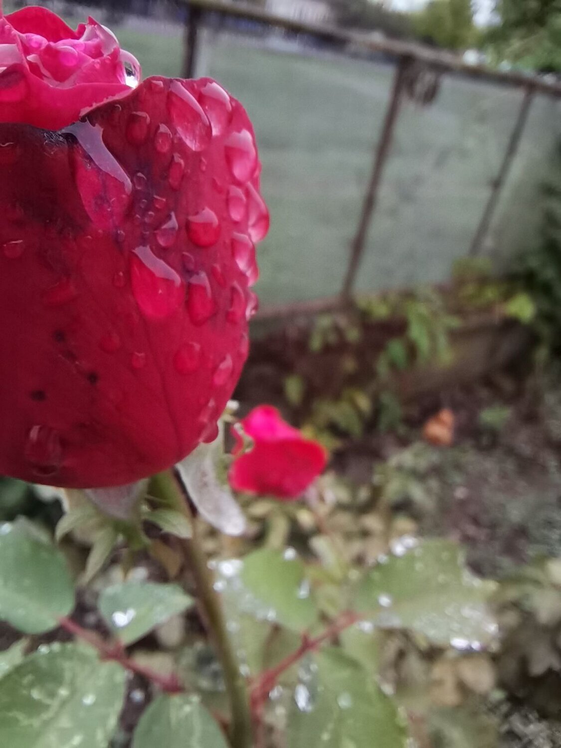 Photo #6555757