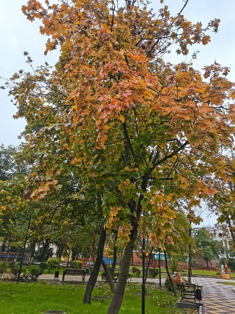Photo #6555771