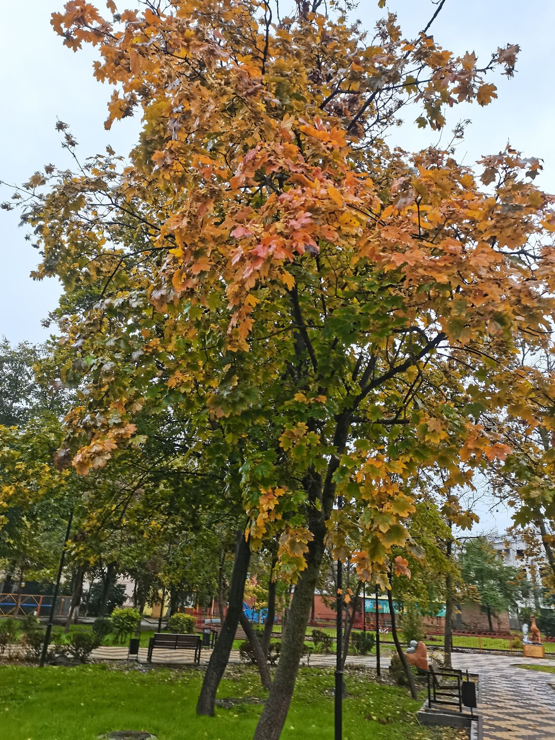 Photo #6555771
