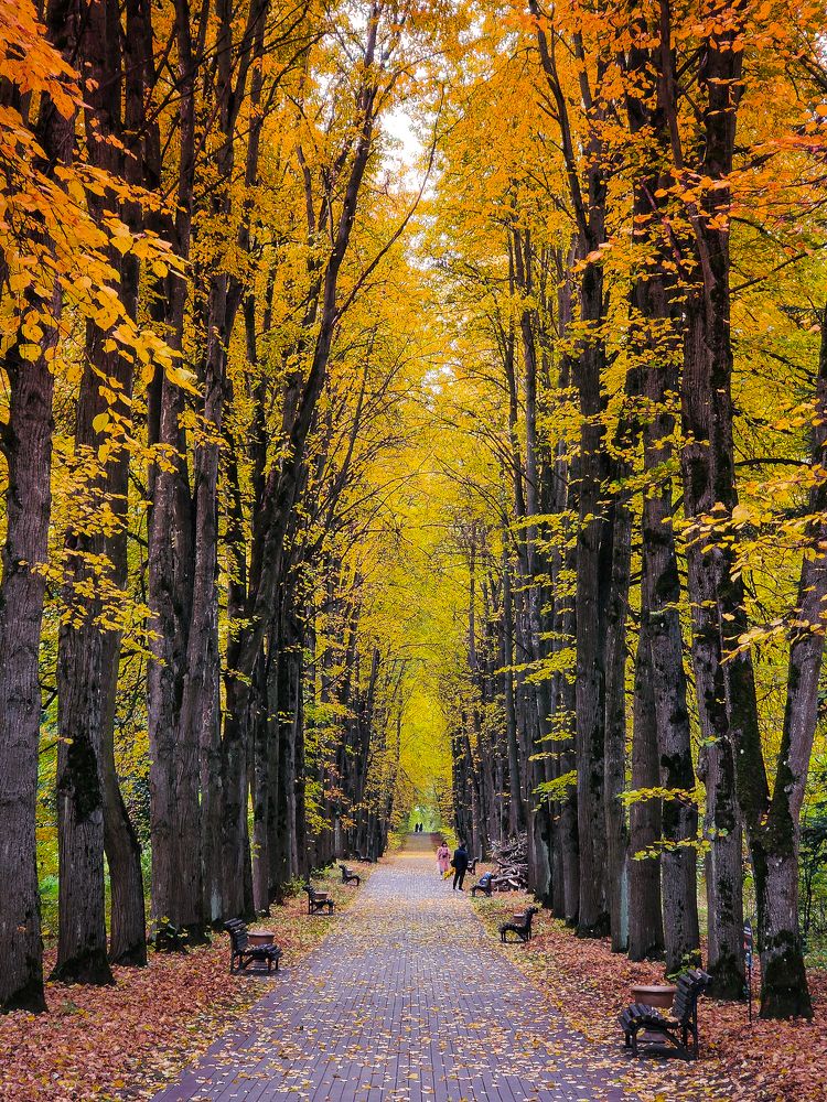 Photograph by Елена Башмакова