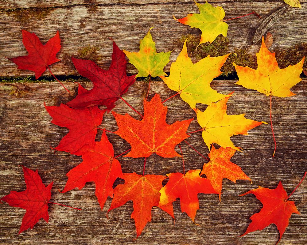 Photograph by Anna Sindikayeva