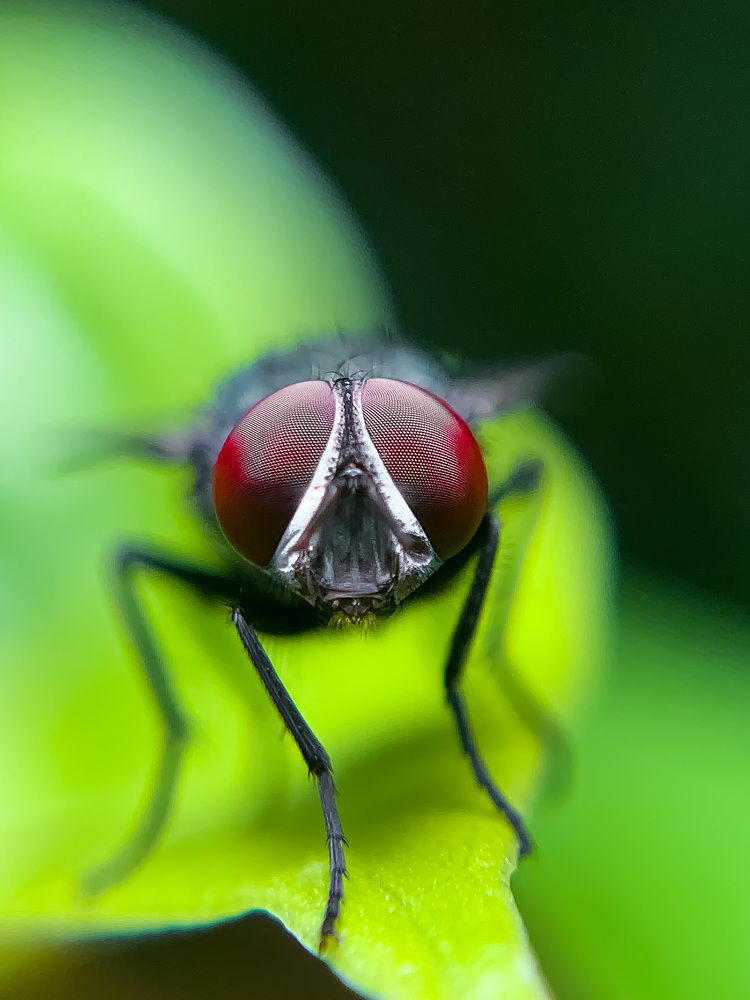 Photograph by Sandhi Sarda