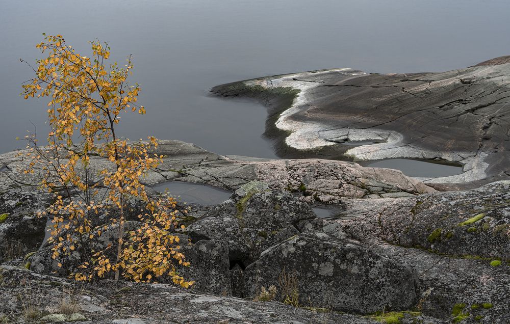 Photograph by Юрий Чернов