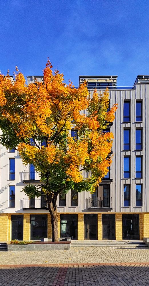 Photograph by Ирина Власенко