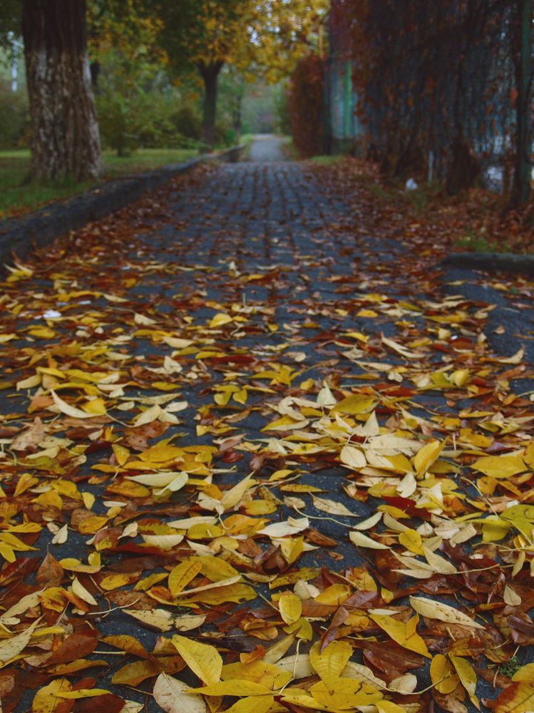 Photograph by Tatevik Tananyan